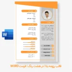 قالب رزومه آماده بتا | 8 رنگ - Image 5